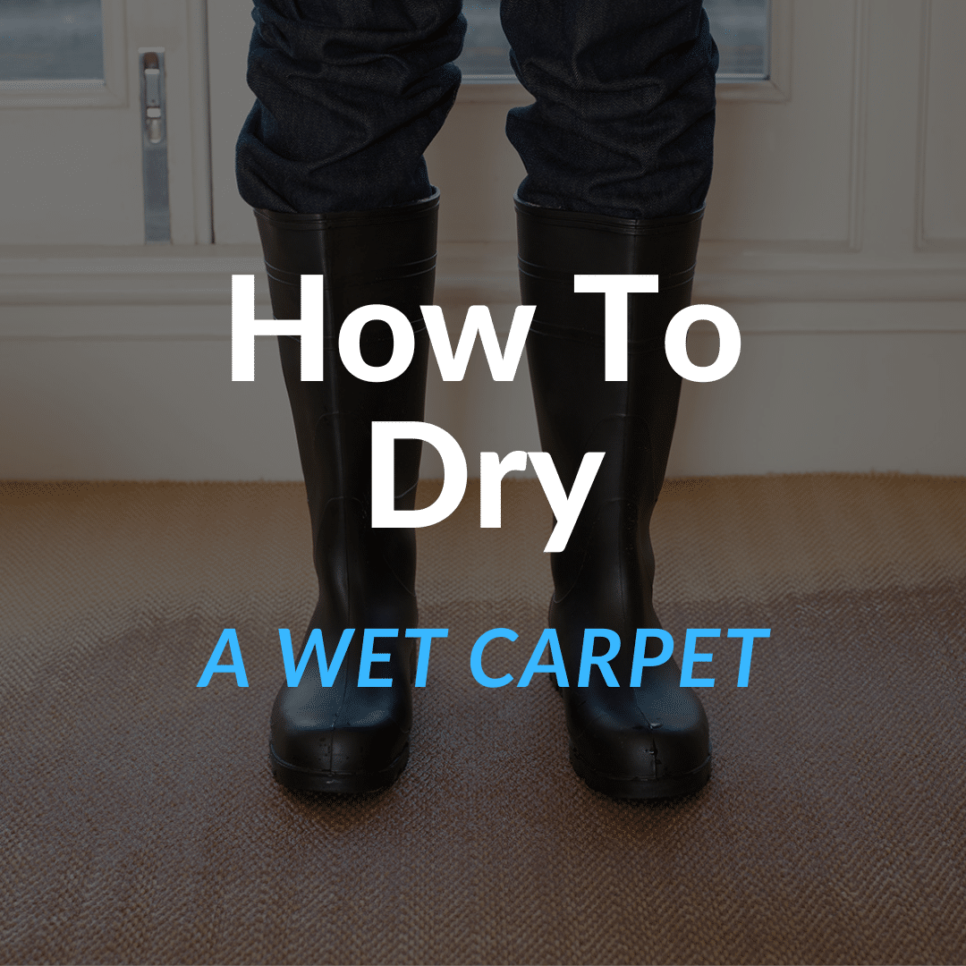 how-to-dry-a-wet-carpet-carpet-cleaning-cambridge-ma